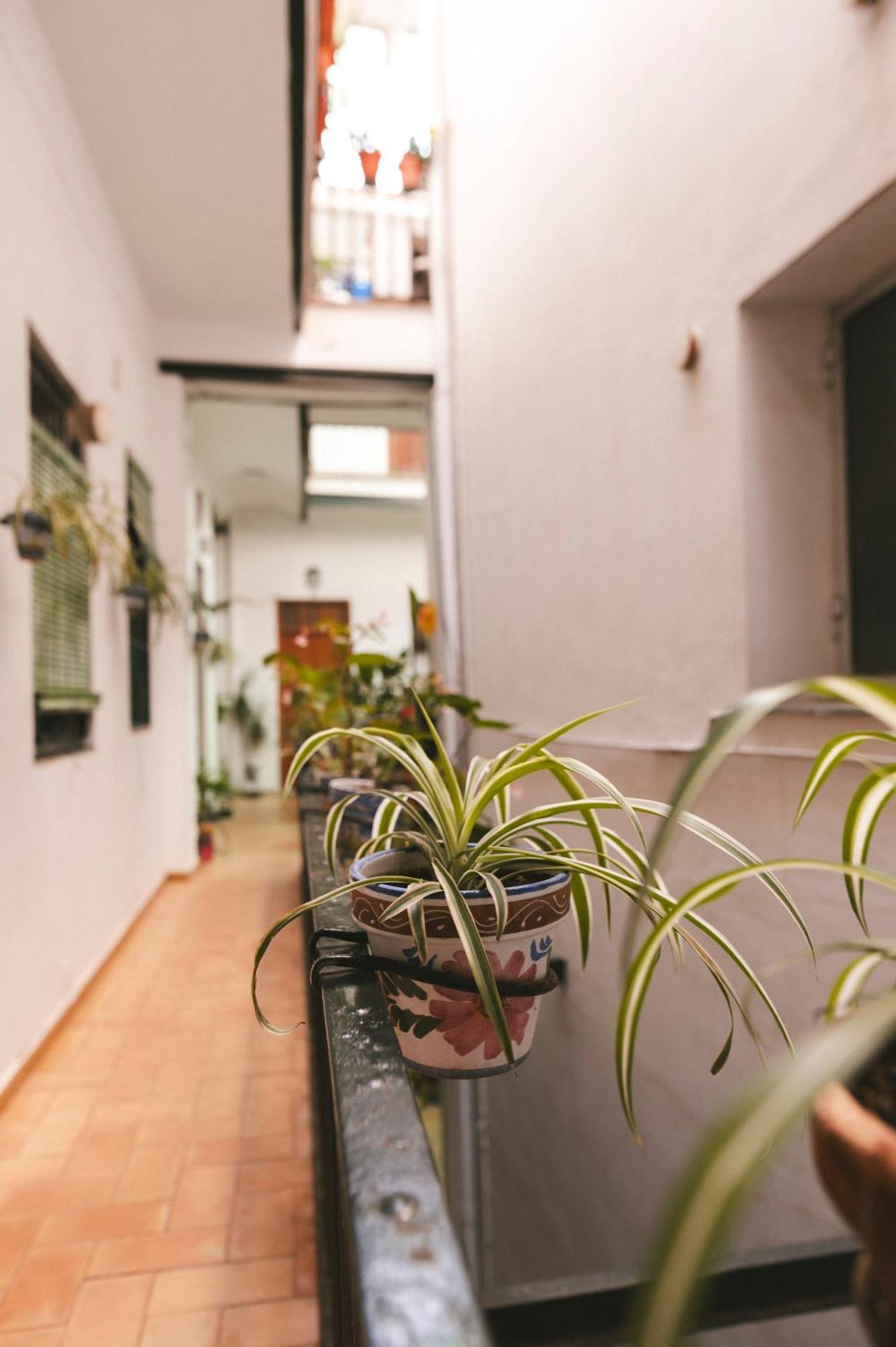 Alohamundi Ardilla Appartement